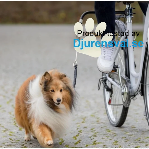 Cykelfäste för hund bäst i test